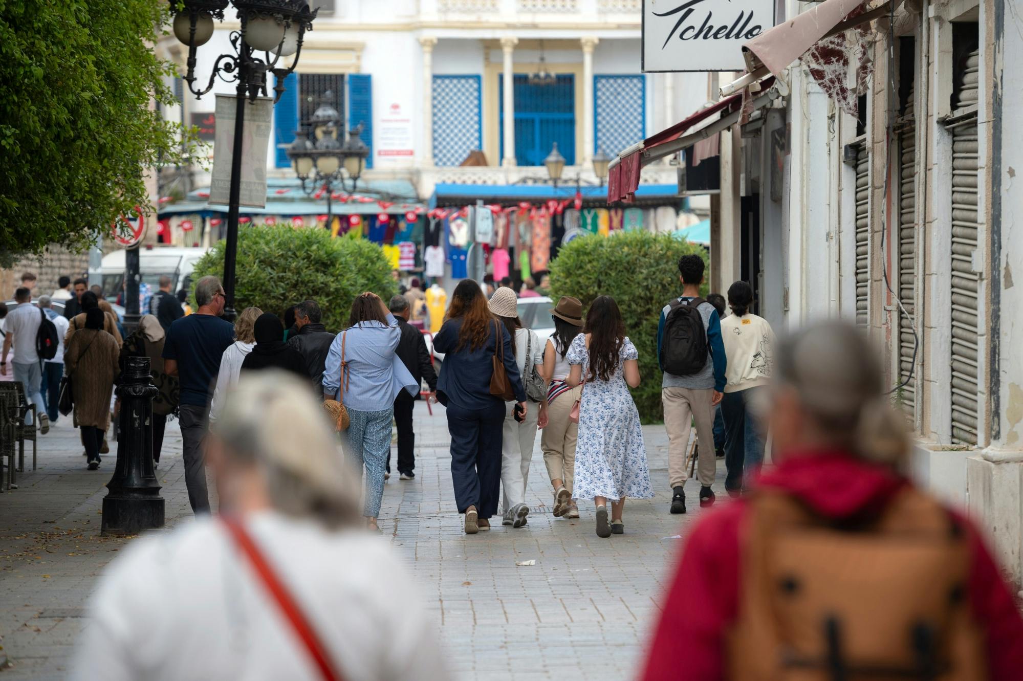 Ancient Carthage and Sidi Bou Said tour with lunch