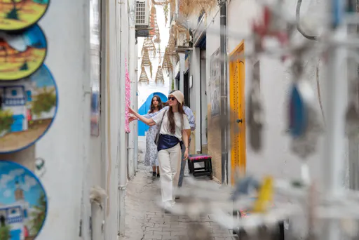 Ancient Carthage and Sidi Bou Said tour with lunch