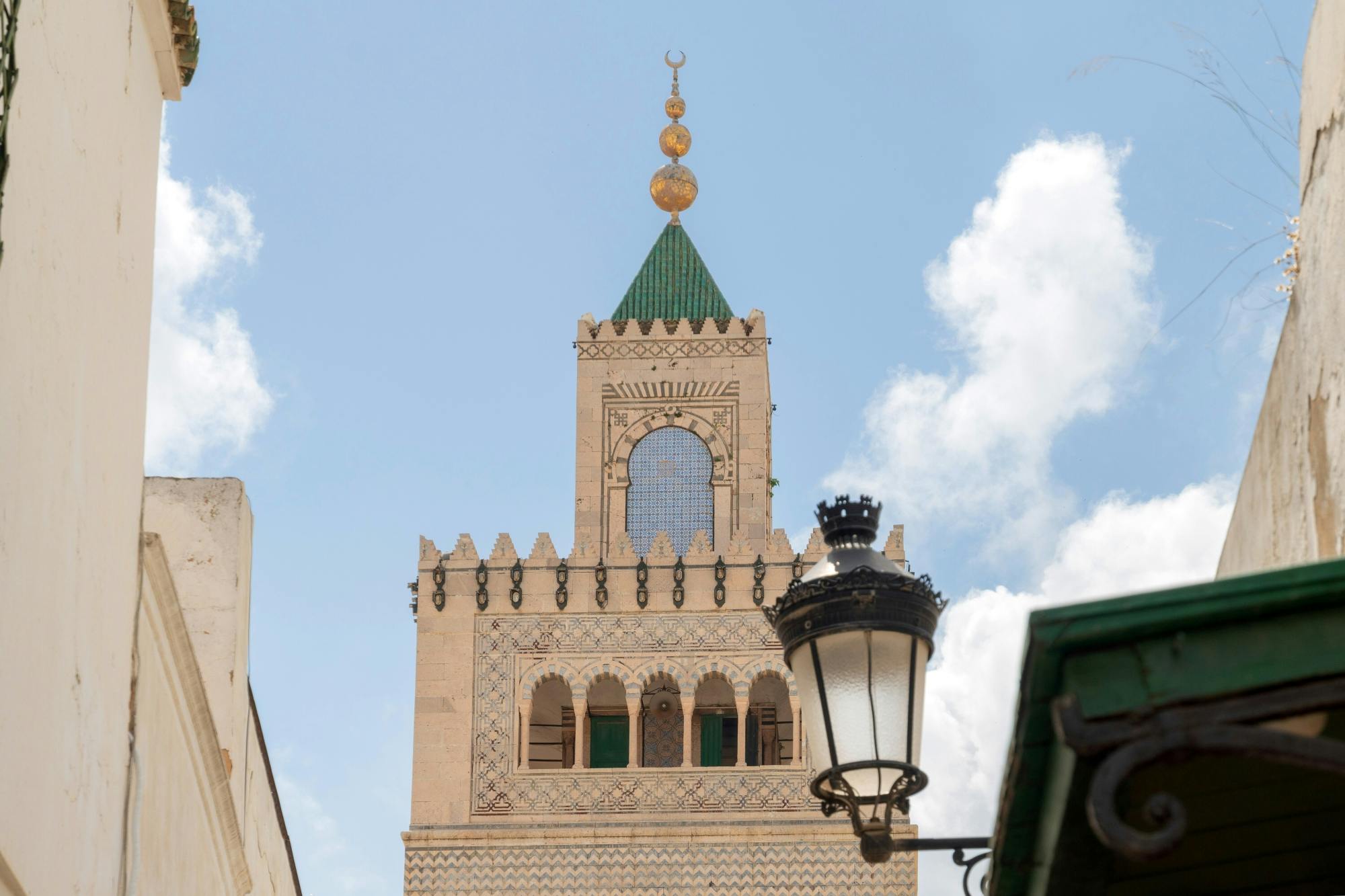 Ancient Carthage and Sidi Bou Said tour with lunch
