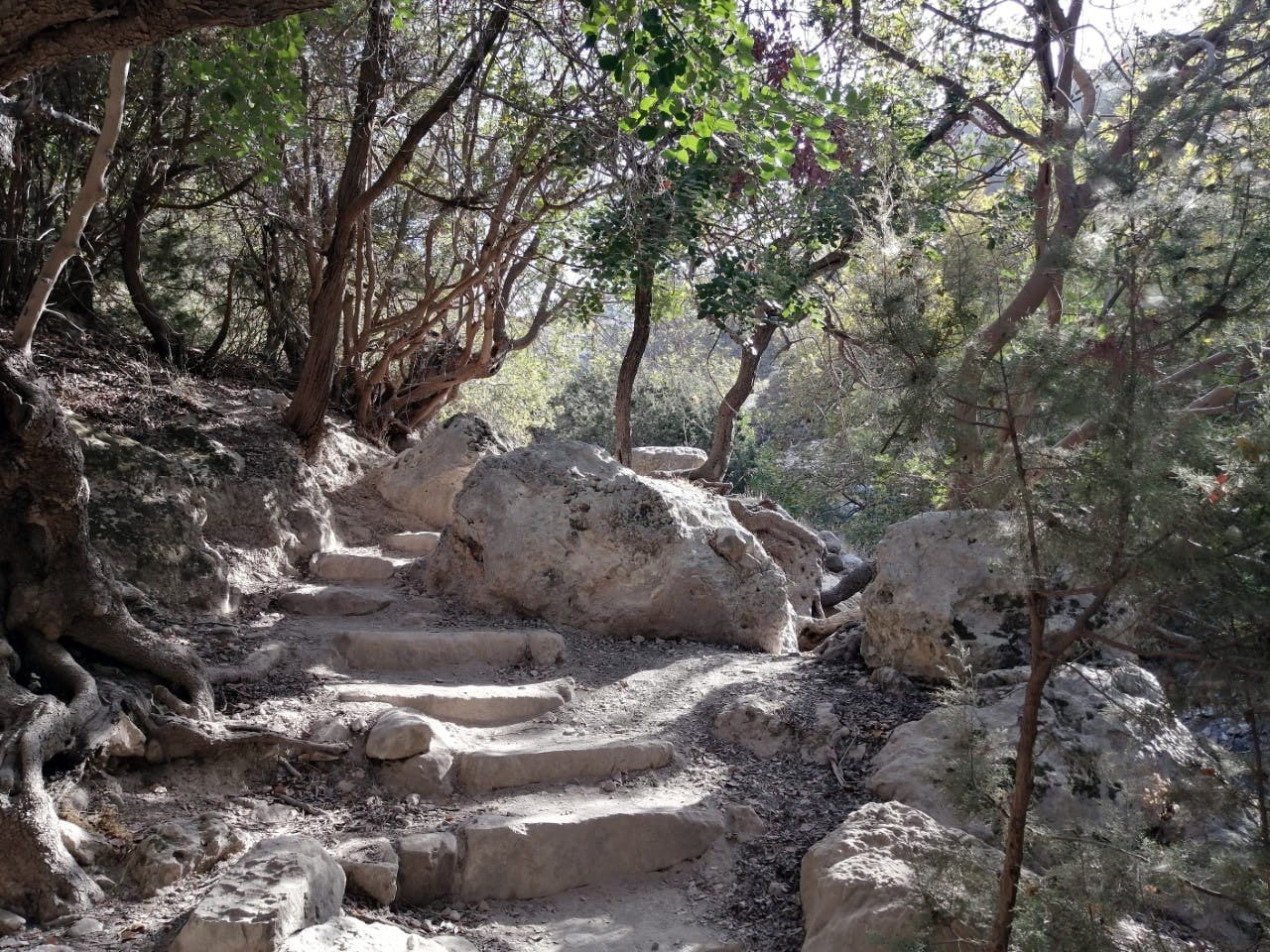 Blue Lagoon, gorge and beach tour by boat and 4x4 in Akamas with lunch