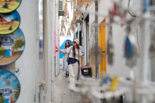 Ancient Carthage and Sidi Bou Said tour with lunch