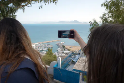 Ancient Carthage and Sidi Bou Said tour with lunch