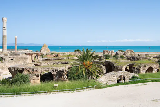 Ancient Carthage and Sidi Bou Said tour with lunch