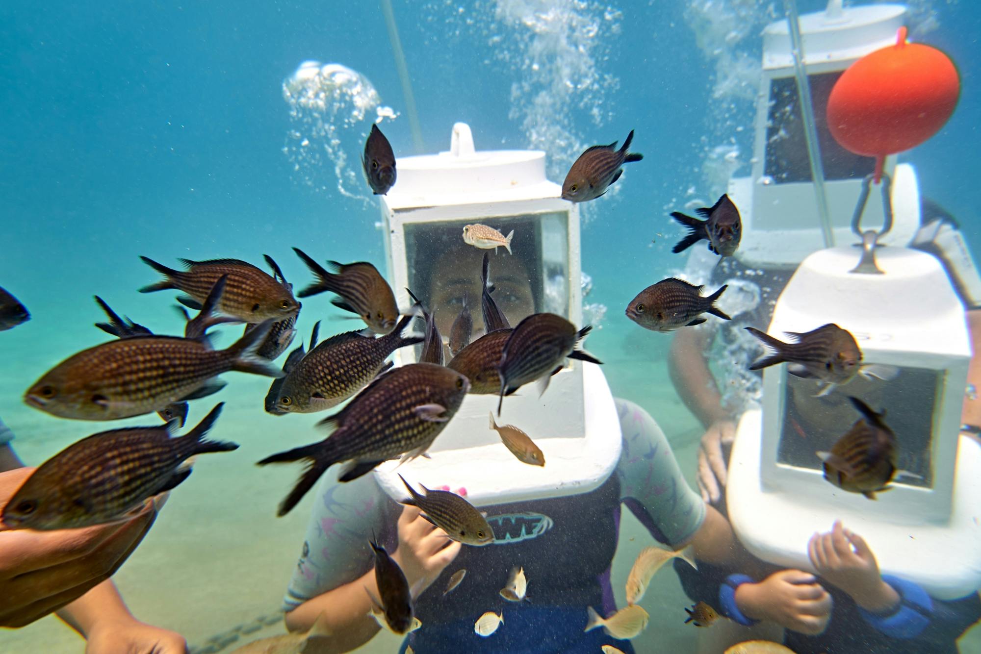 Cyprus underwater walking or scooter small-group tour
