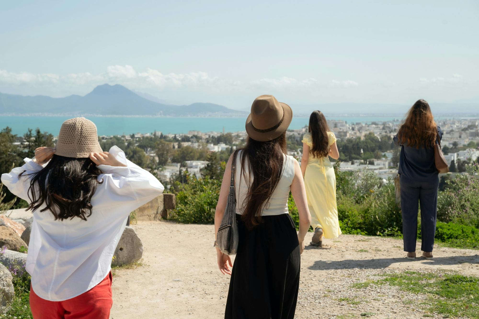 Tour dell'antica Cartagine e di Sidi Bou Said con pranzo