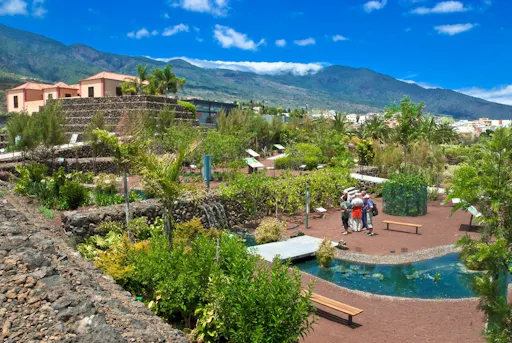 Half-day Canary Islands food and folklore culture tour