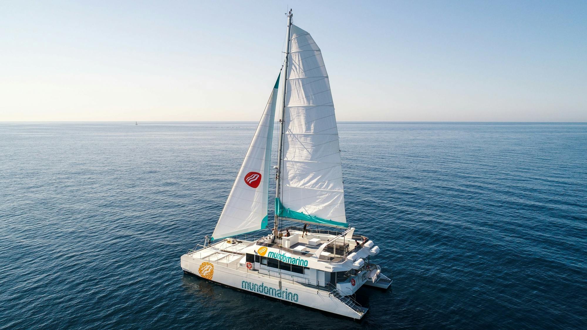 Malaga solar eclipse catamaran cruise