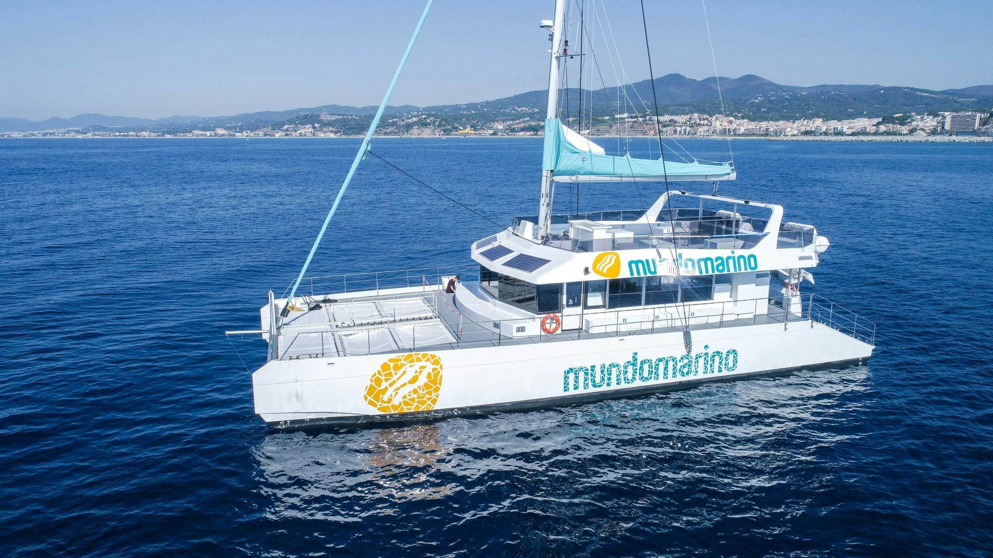 Malaga solar eclipse catamaran cruise