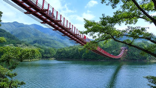 DMZ and Lake Majang Suspension Bridge Tour from Seoul