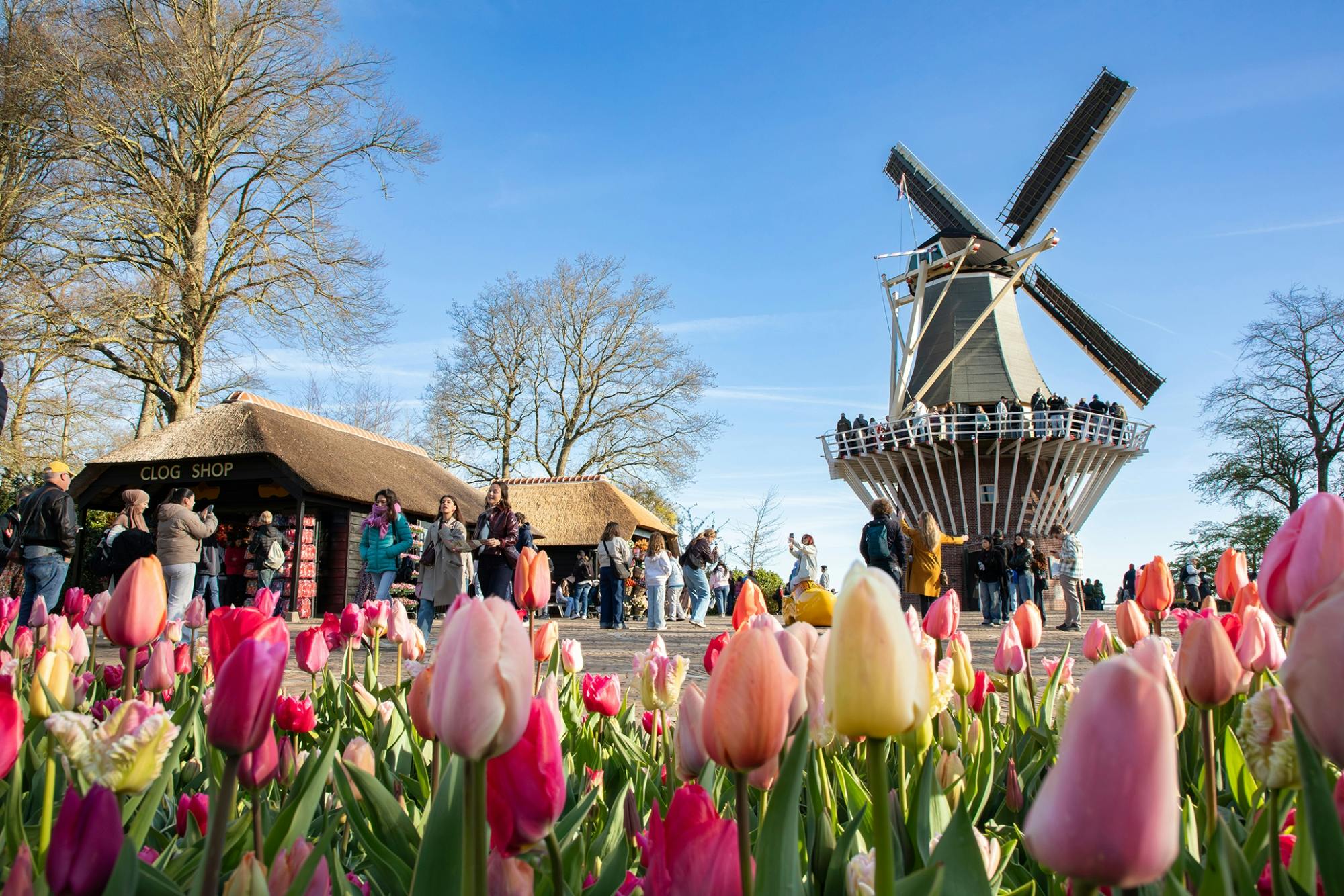 Keukenhof entrance ticket with audio guided transfer