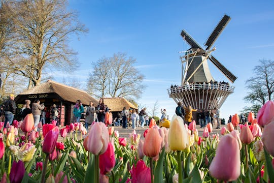 Eintrittskarte für den Keukenhof inklusive Transfer mit Tourguide