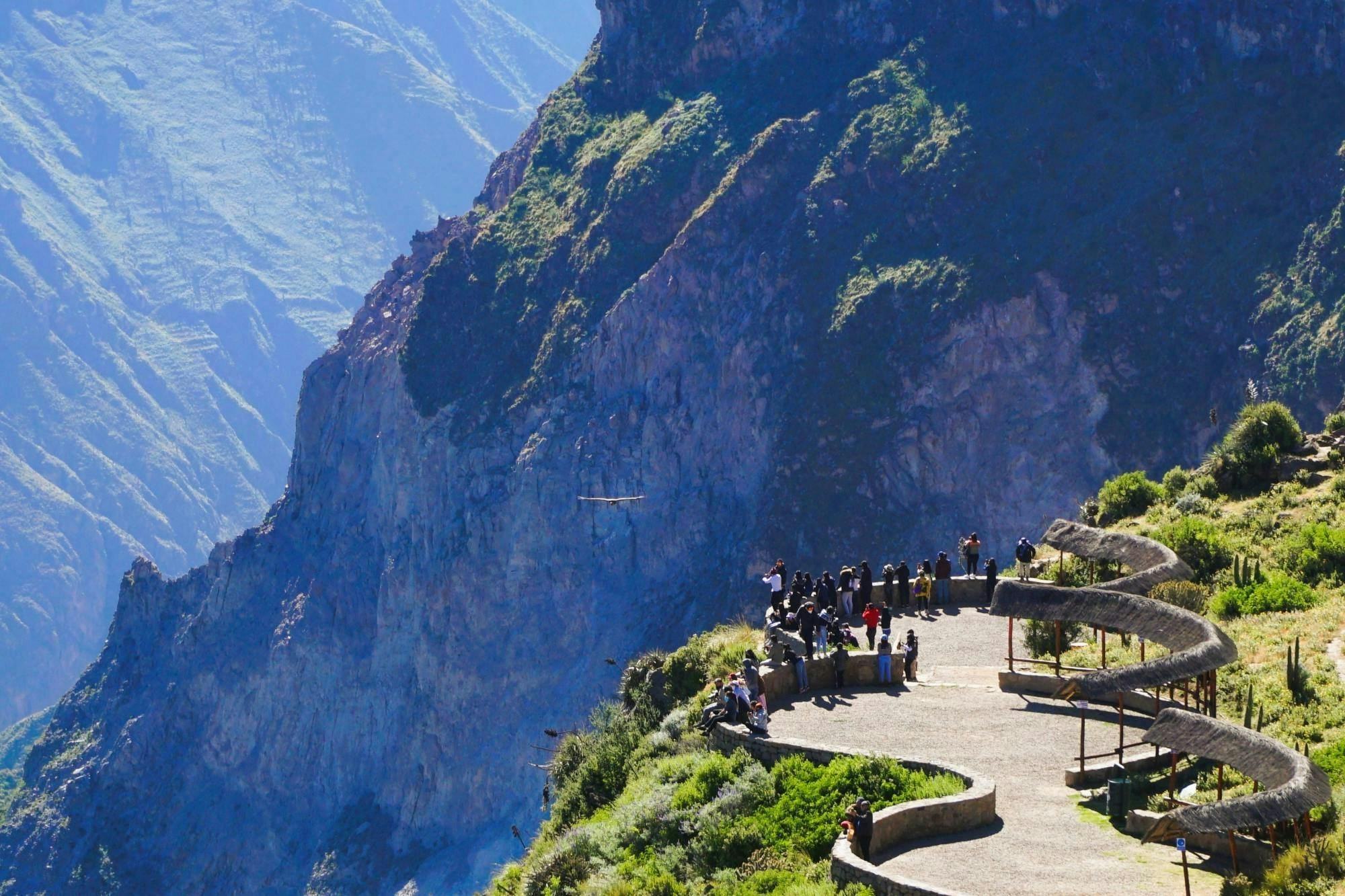 Colca Canyon full-day group tour with transfer to Puno from Arequipa