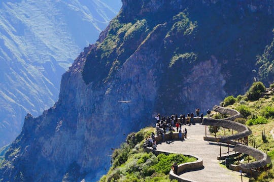 Colca Canyon full-day group tour with transfer to Puno from Arequipa
