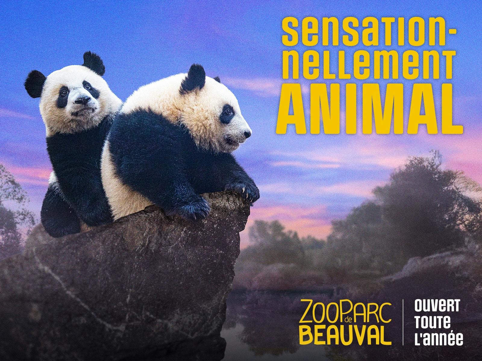 Eintrittskarte für den ZooParc de Beauval
