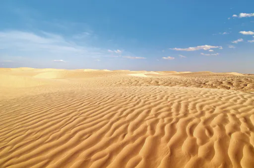 Southern Tunisia tour with Star Wars™ cave village and lunch