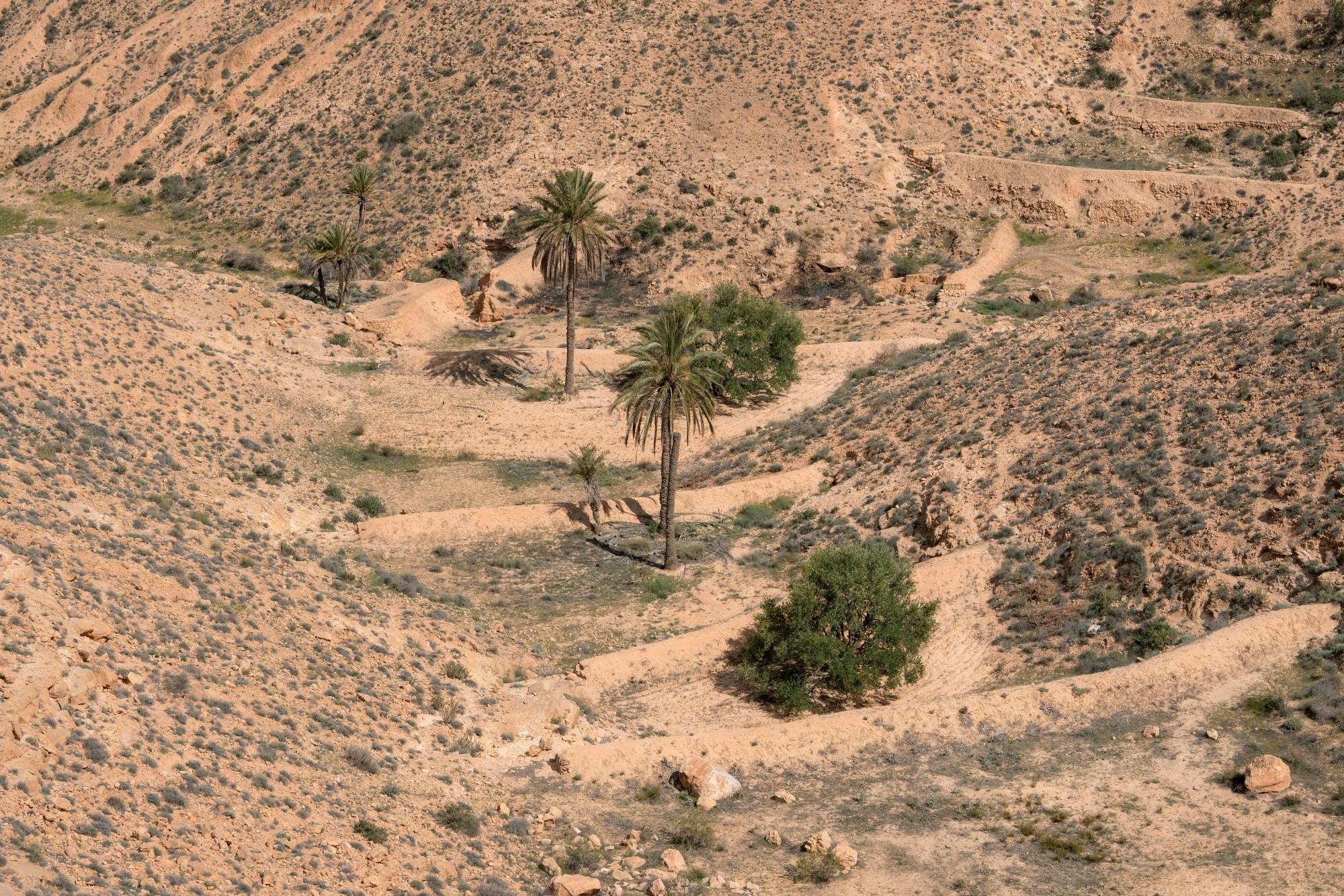 Southern Tunisia tour with Star Wars™ cave village and lunch