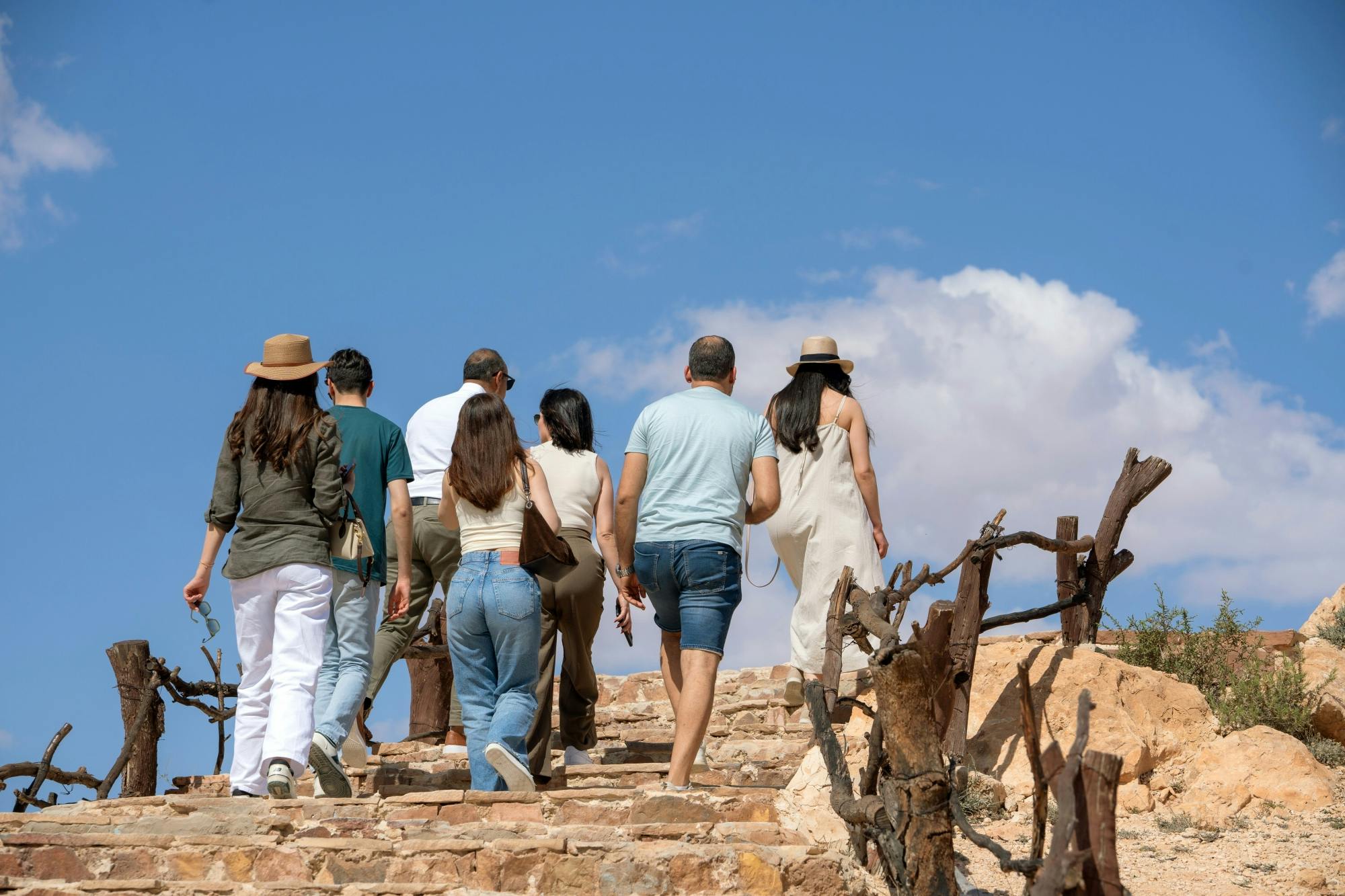 Southern Tunisia tour with Star Wars™ cave village and lunch