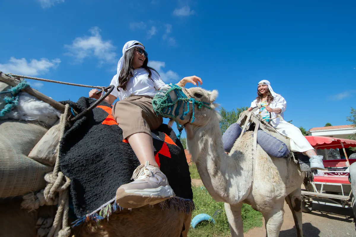 Tunisian Camel Caravan Tour