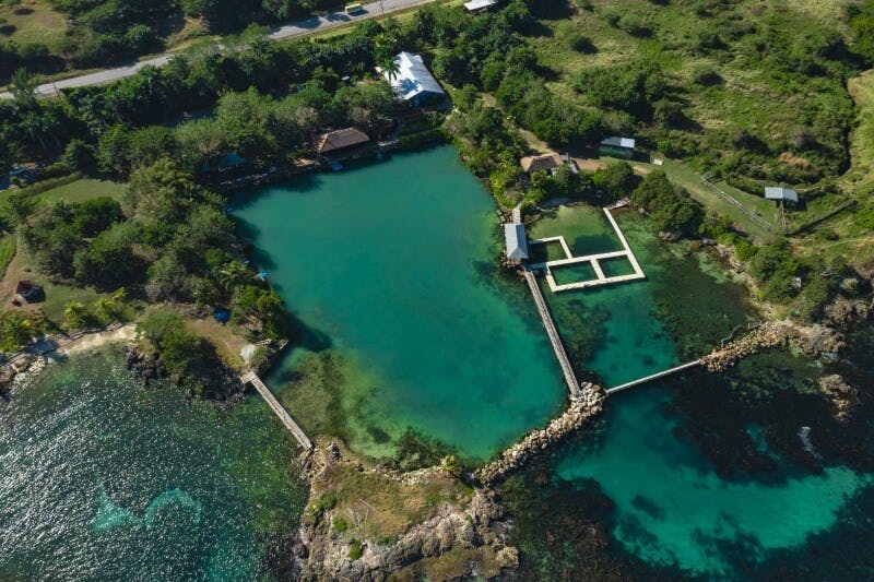 Dolphin Cove Montego Bay regular tour