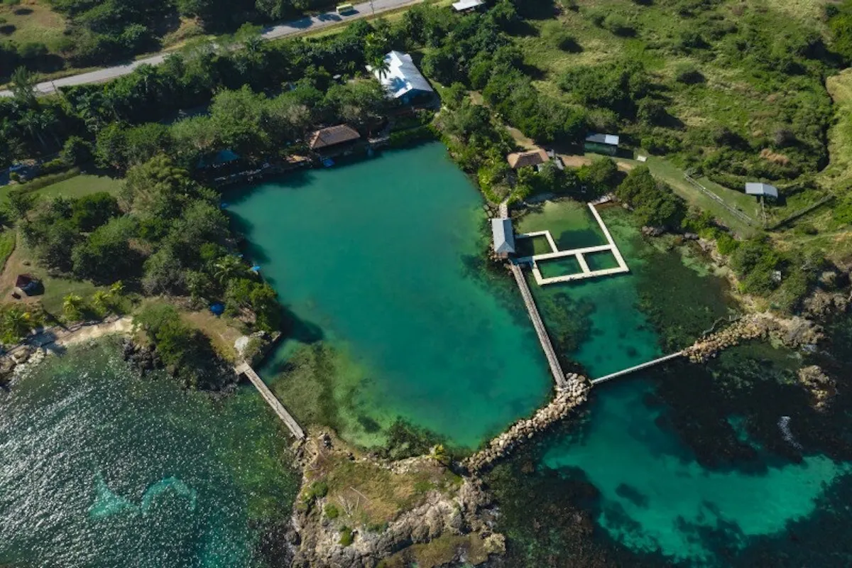 Dolphin Cove Montego Bay regular tour