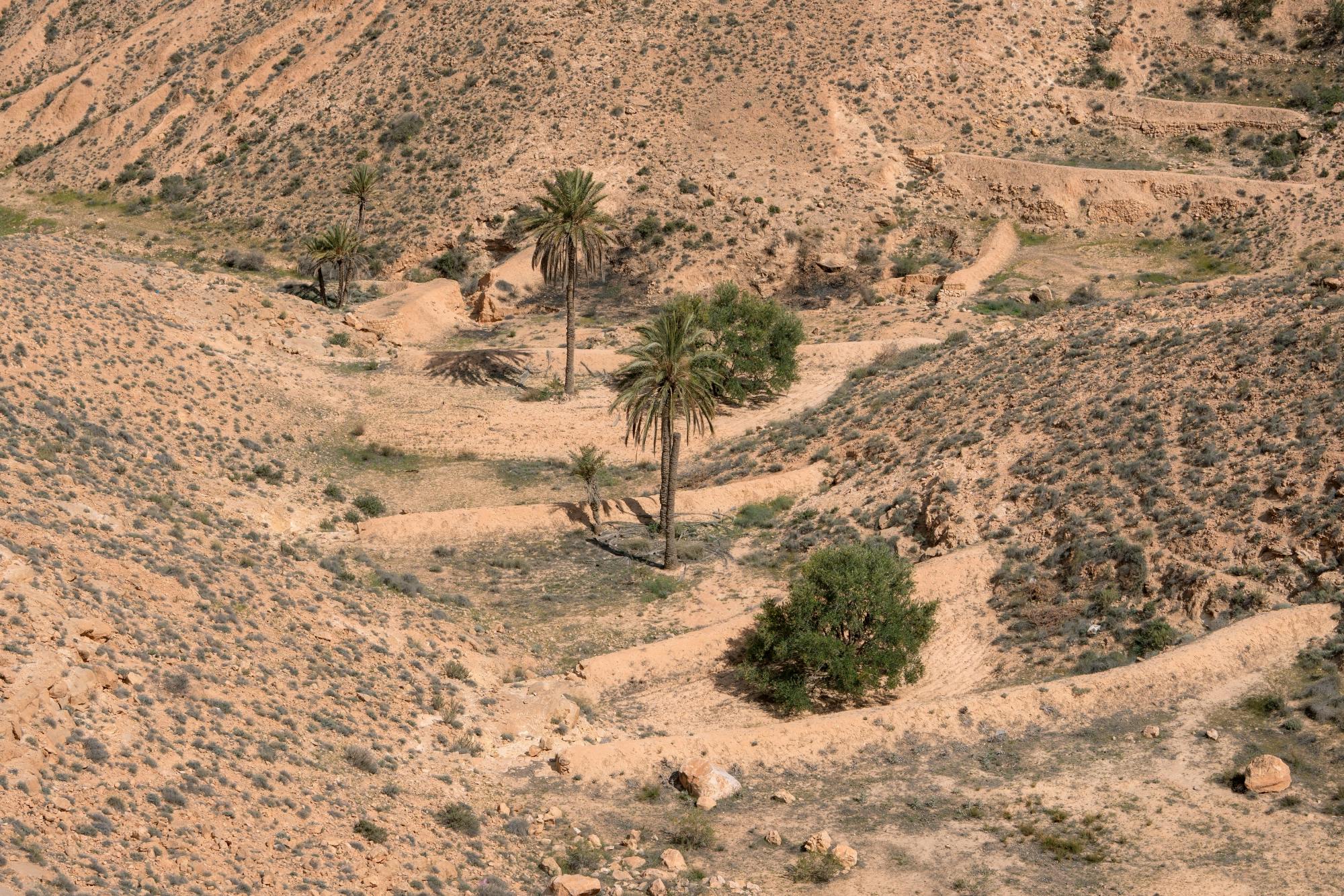 Southern Tunisia tour with Star Wars™ cave village and lunch