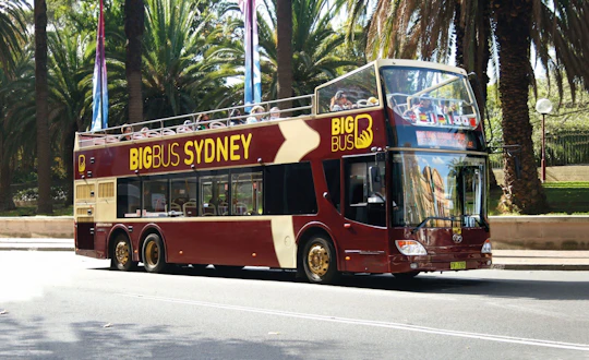 Big Bus tour of Sydney