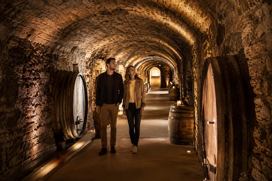 LOISIUM WineExperience access with Vienna audio guide and eSIM