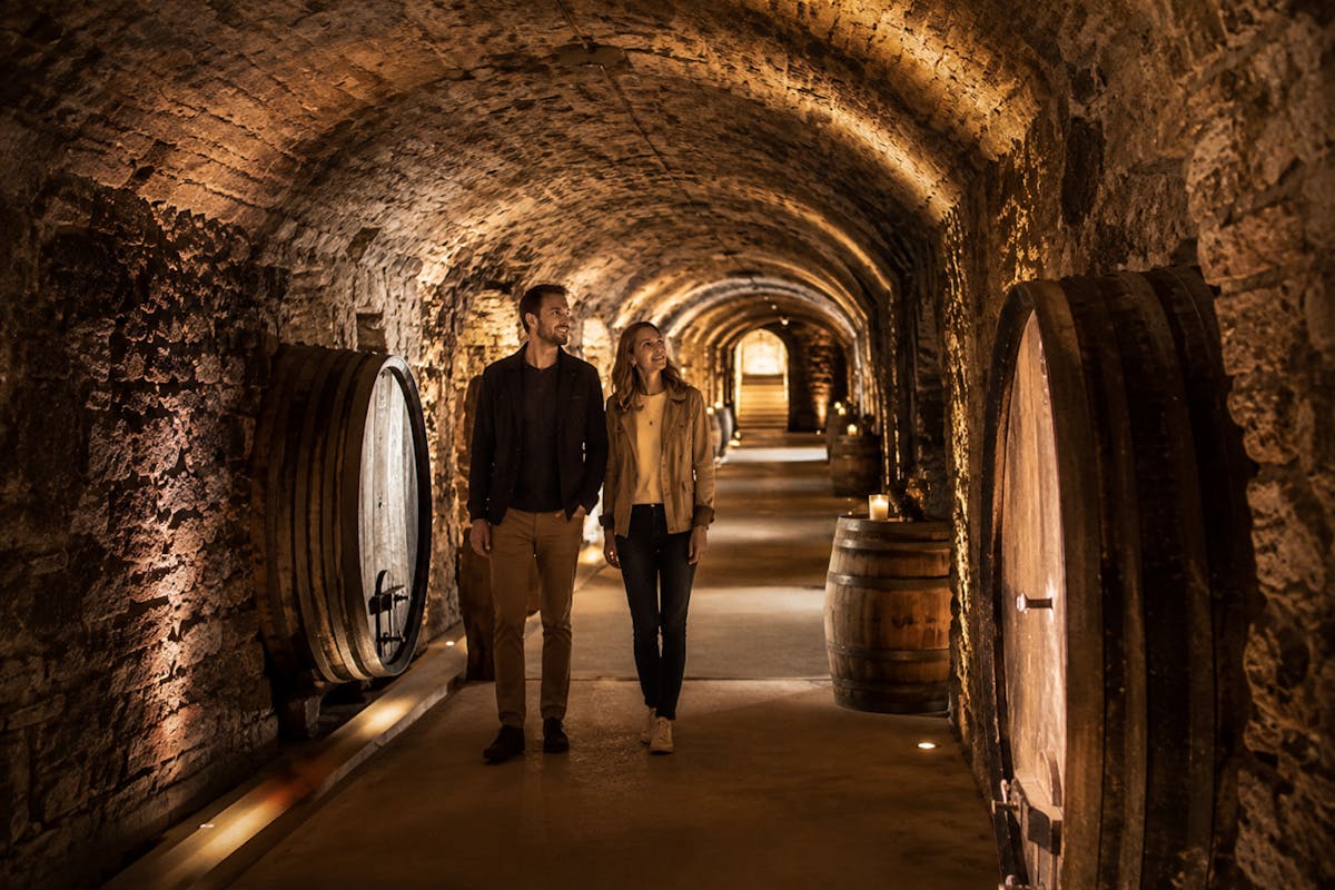 Toegang tot LOISIUM WineExperience met audiogids voor Wenen en eSIM