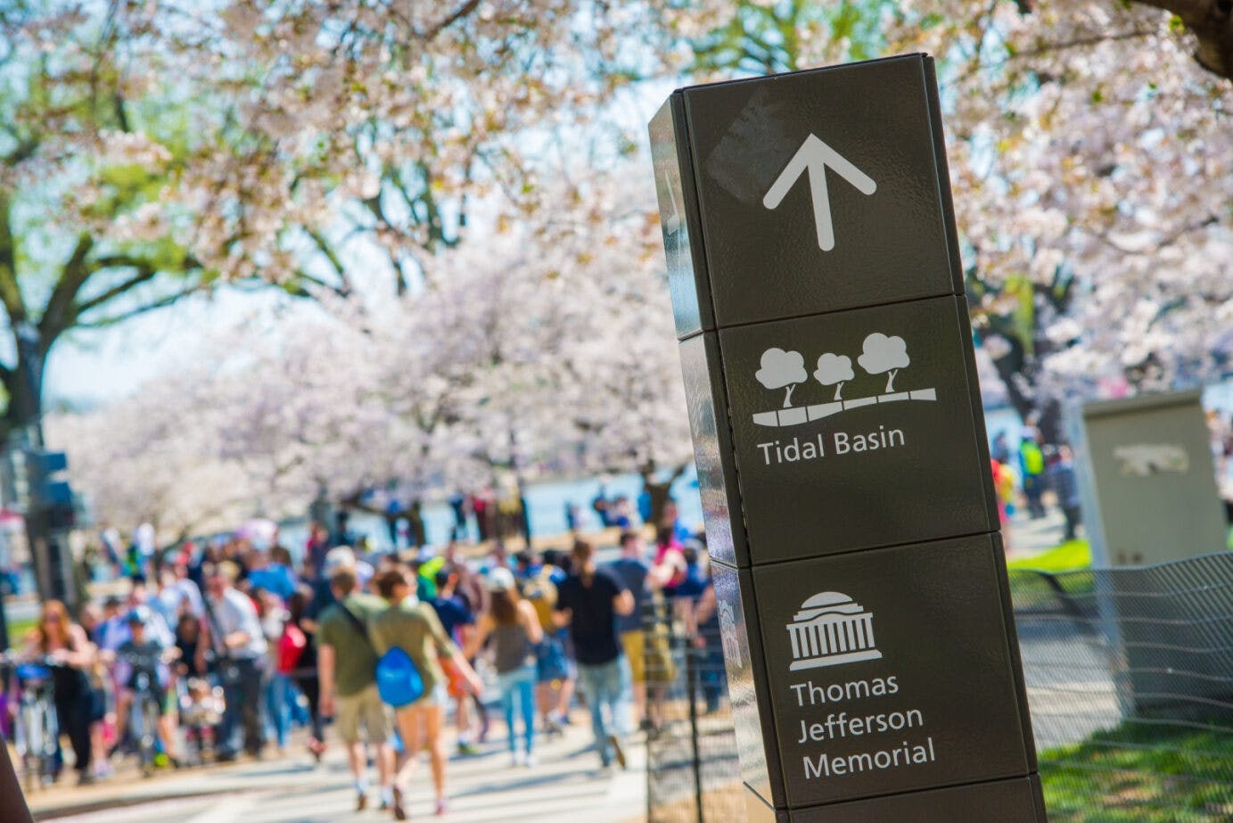202605196a0c43c4f1cae.jpg