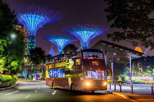 Panorama-Nachttour mit dem Big Bus durch Singapur