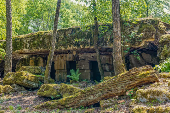 Full-day Wolf's Lair private tour and St. Lipka concert from Gdansk