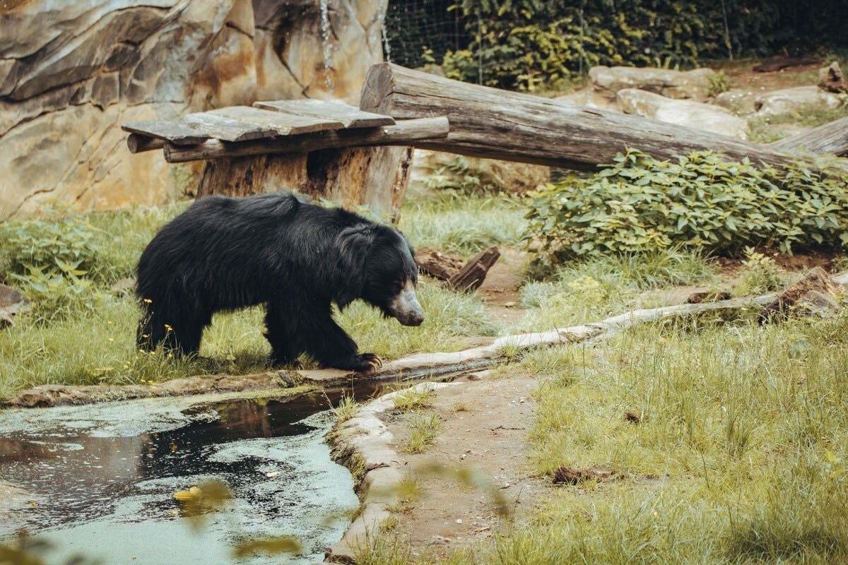 202605196a0c57562c634.jpg