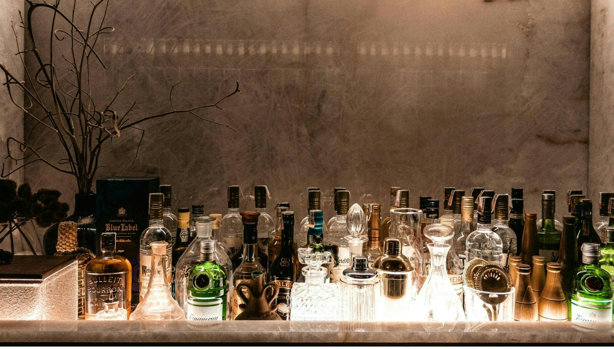 Cata de ginebra artesanal polaca con un experto local en Gdansk