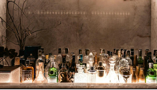 Polish craft gin tasting experience with a local expert in Gdansk