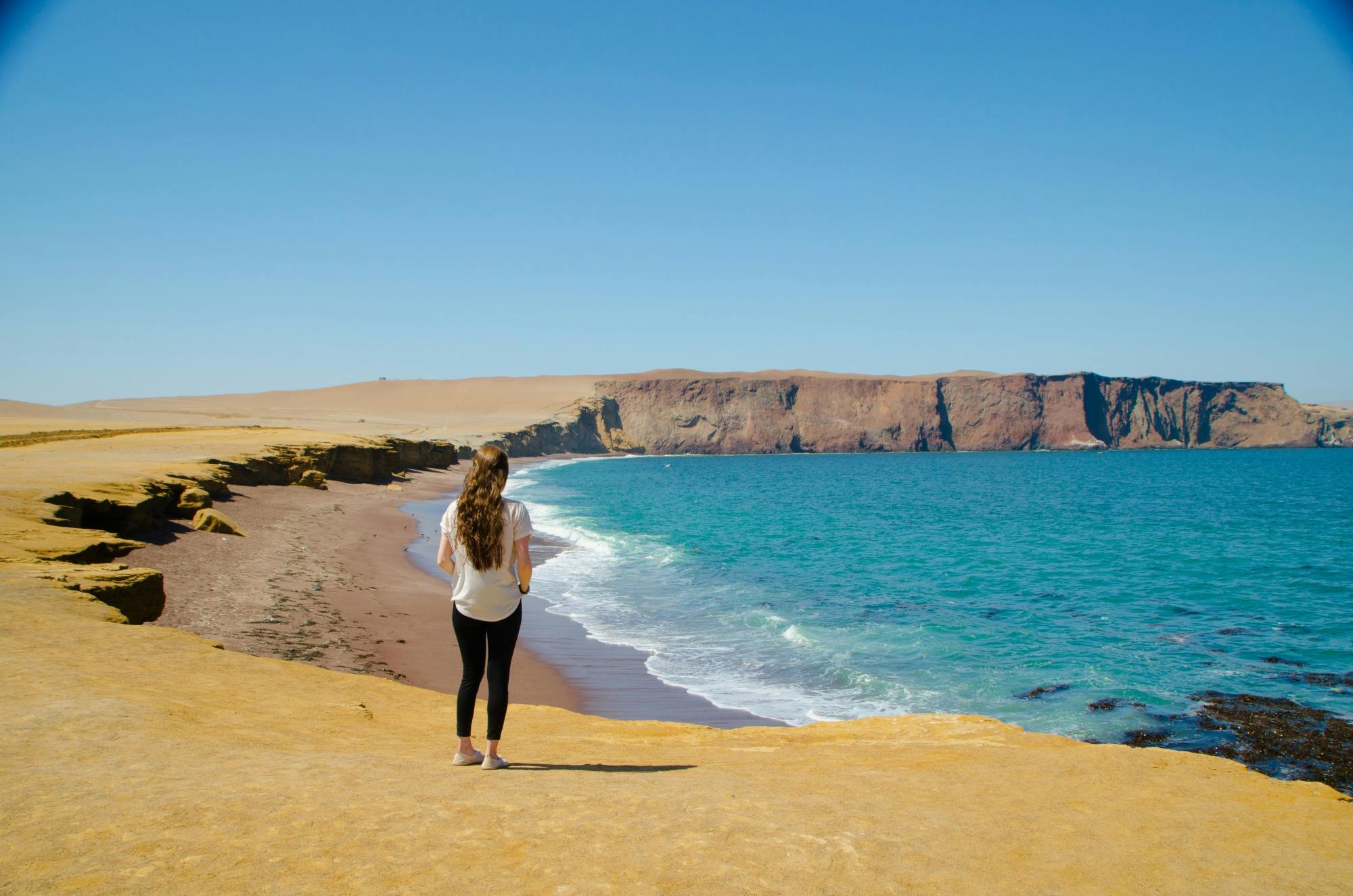 Excursão às Ilhas Ballestas e à Reserva Nacional de Paracas