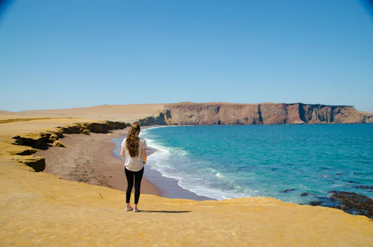 Ballestas Islands and Paracas National Reserve tour