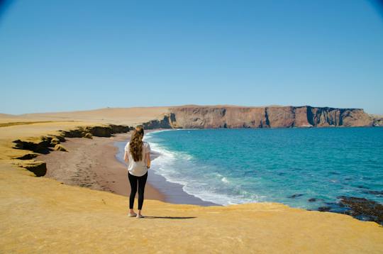 Excursão às Ilhas Ballestas e à Reserva Nacional de Paracas