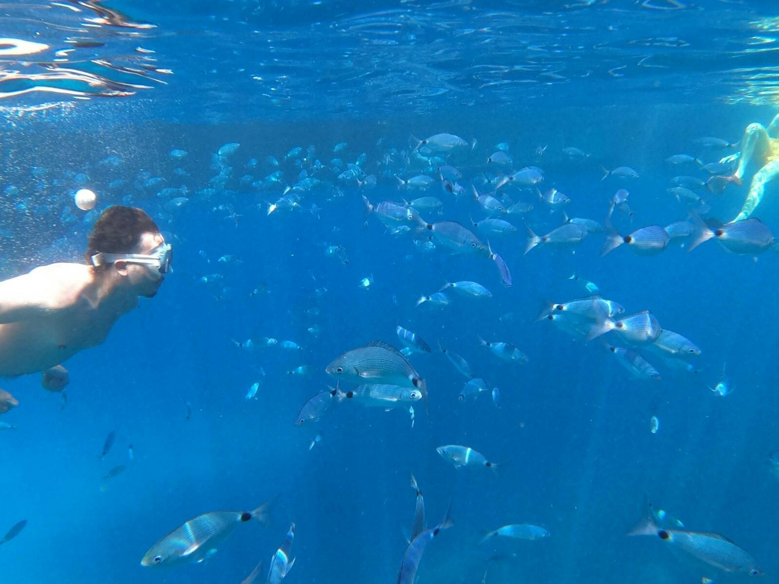 Glass-bottom boat cruise on Ibiza’s west coast