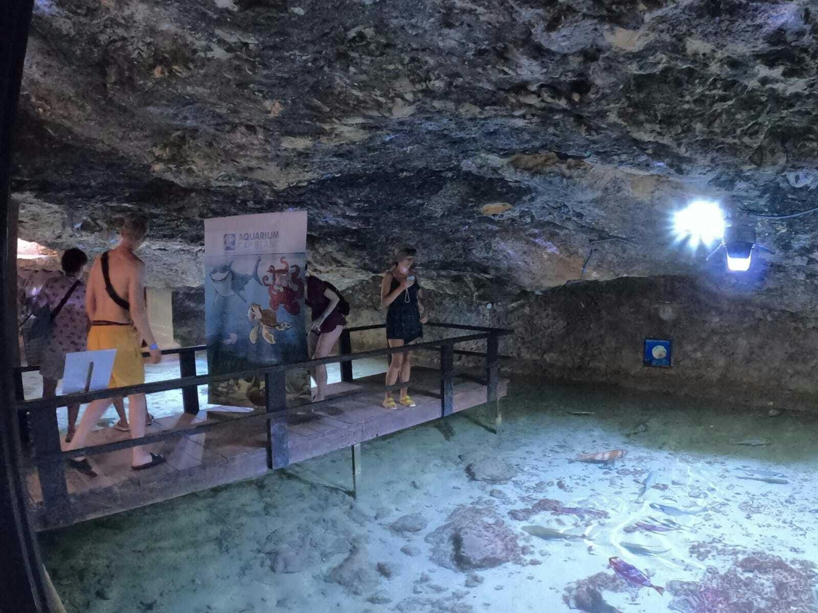 Glass-bottom boat cruise on Ibiza’s west coast