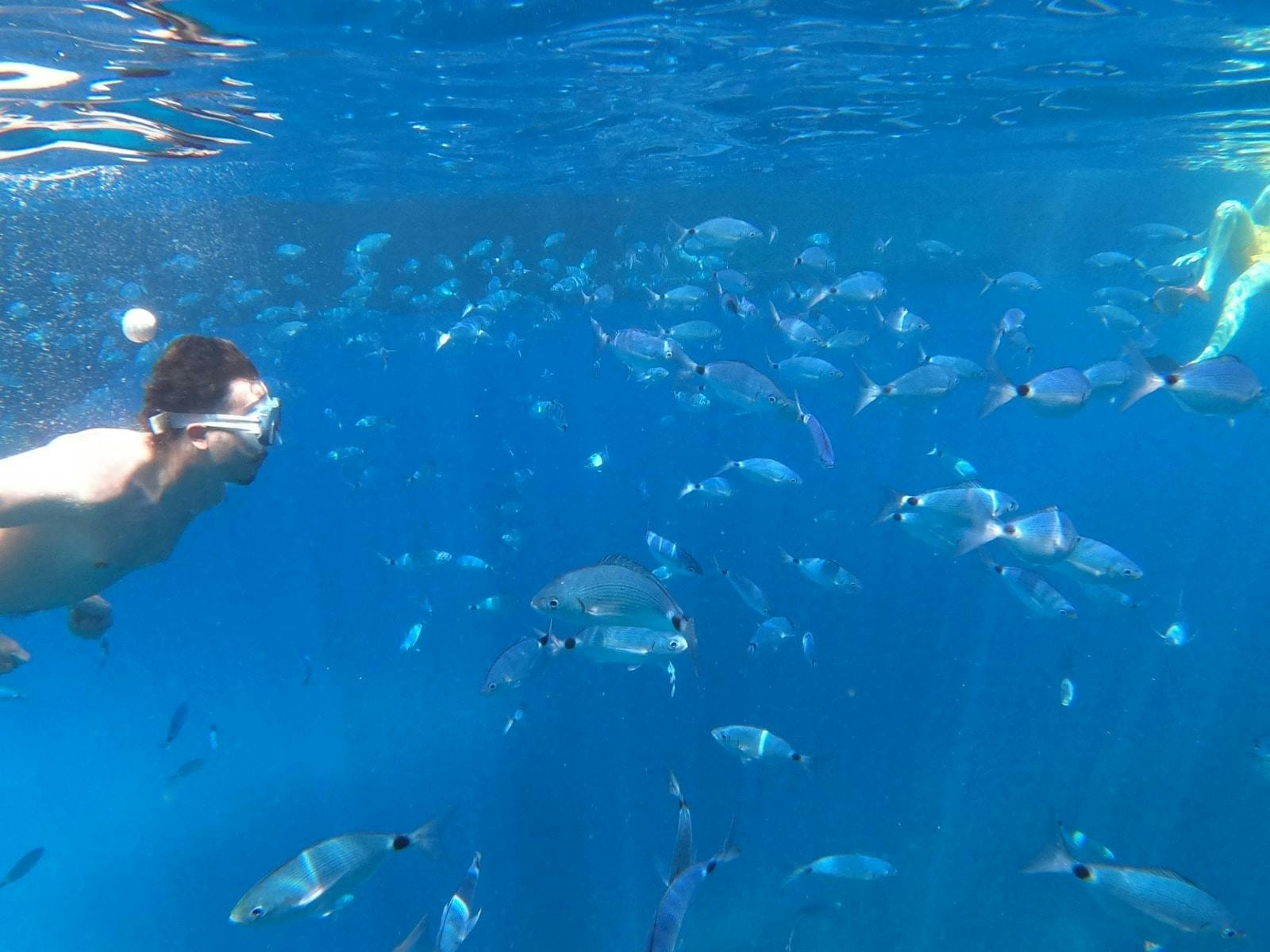 Glass-bottom boat cruise on Ibiza’s west coast