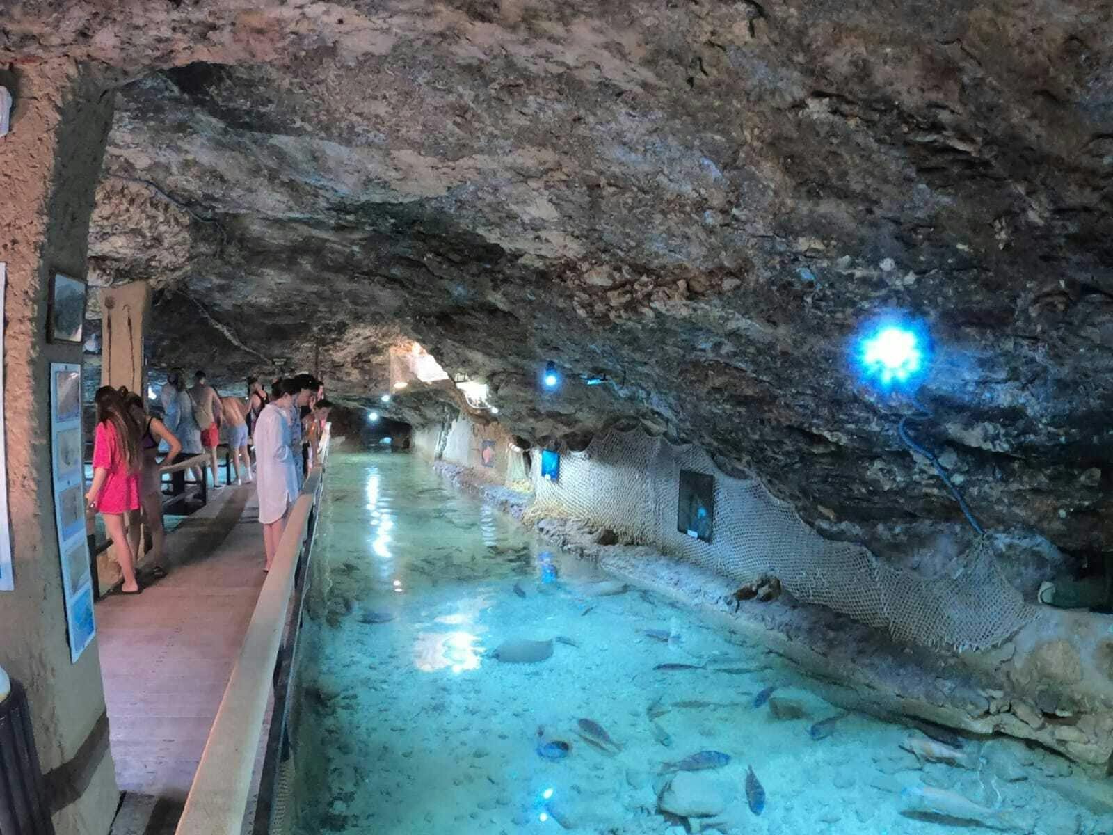 Glass-bottom boat cruise on Ibiza’s west coast