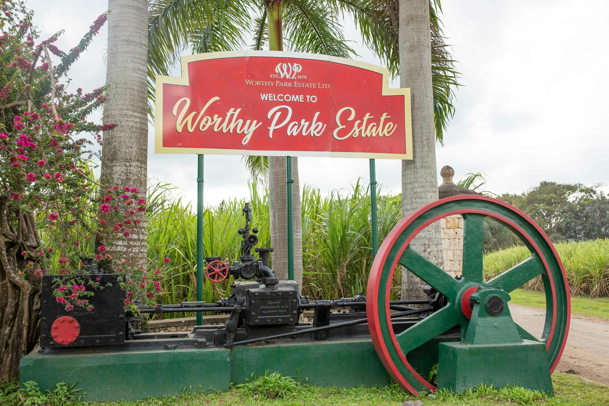Tour al rum della tenuta di Worthy Park per soli adulti