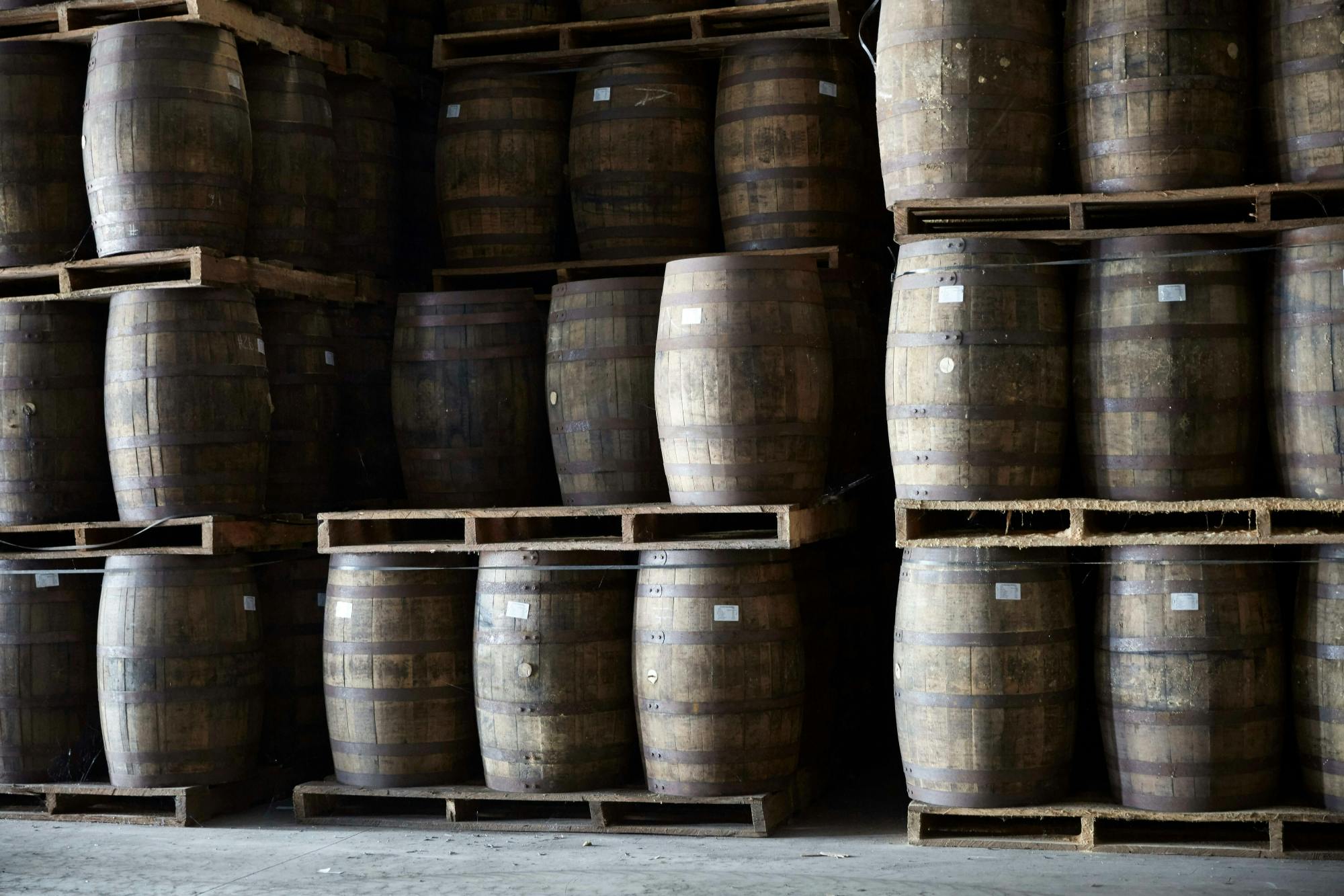 Adults‑only Worthy Park Estate rum tour