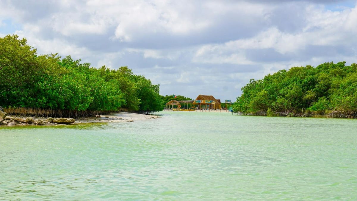 Halve dagtrip naar Isla Columpios met ophaalservice vanaf Mérida