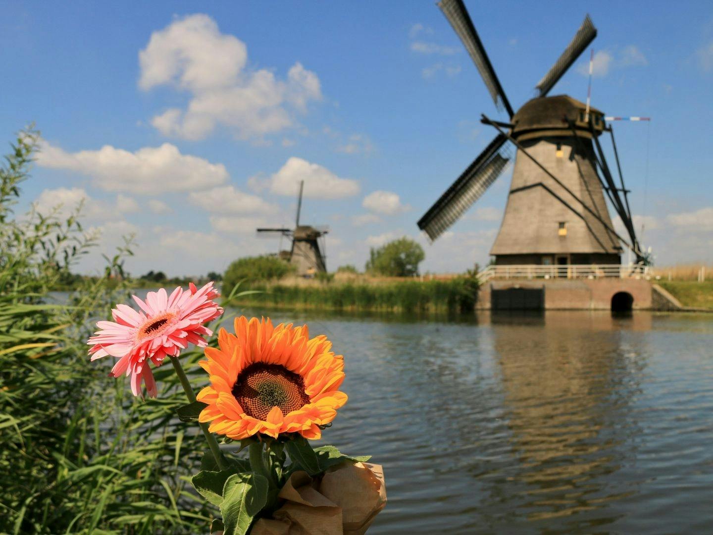 Activity Image