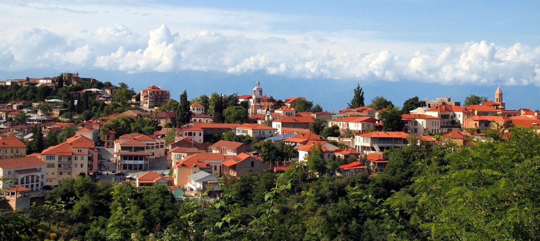 Day tour of Kakheti with wine tasting and bread-baking masterclass