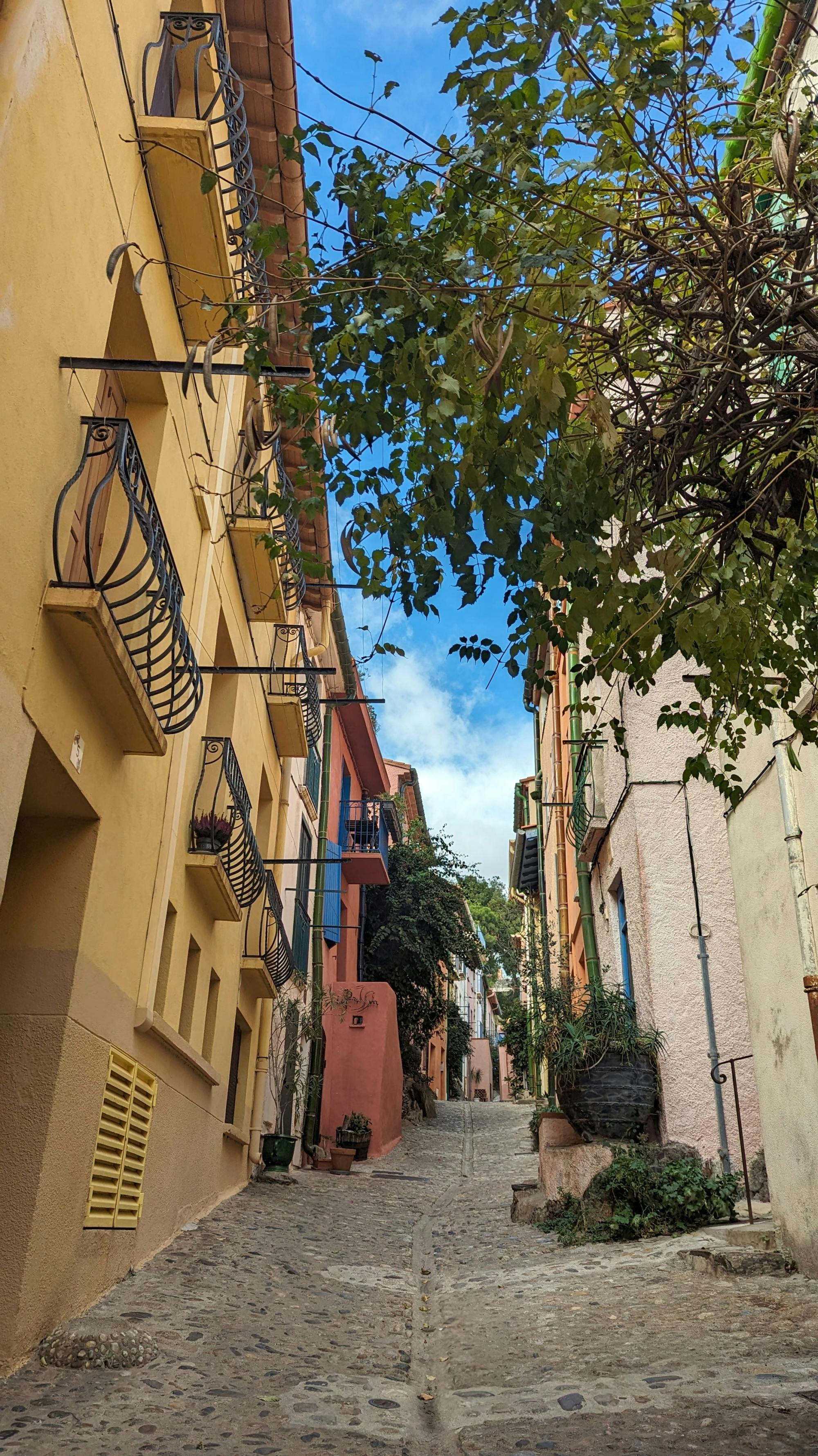 Collioure in the south of France from Spain with free time