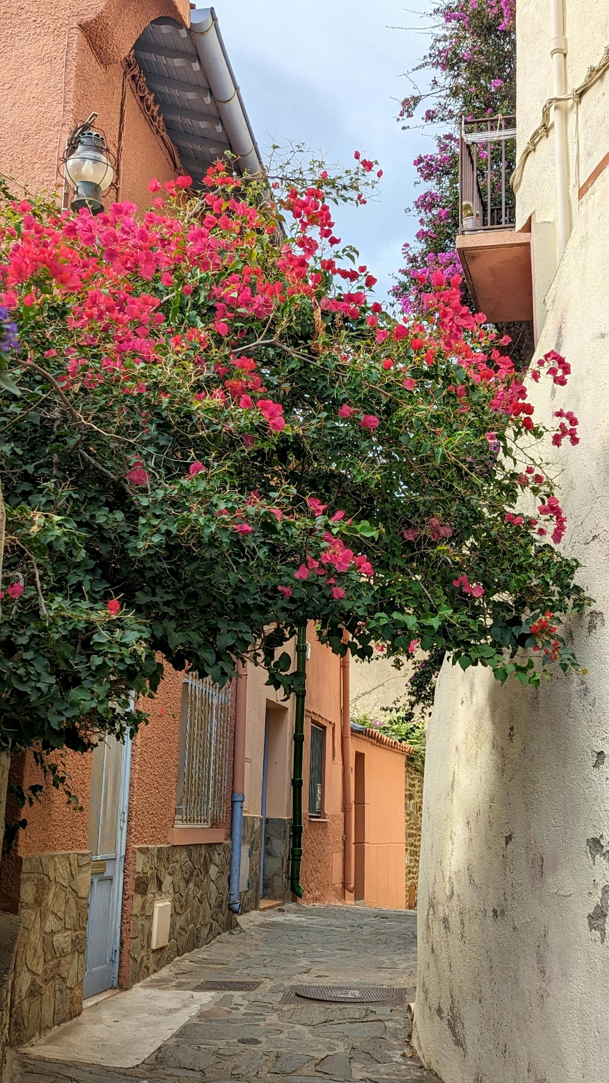 Collioure in the south of France from Spain with free time