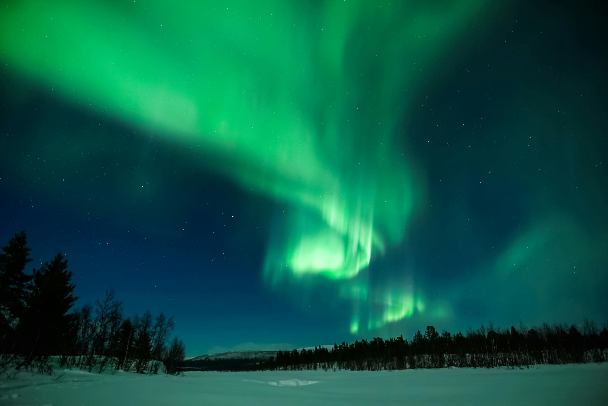 Northern Lights evening guided tour with reindeer encounter