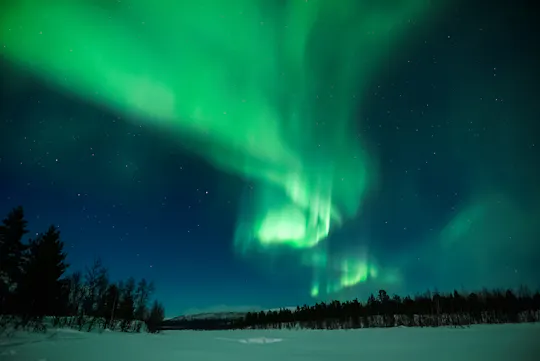 Northern Lights evening guided tour with reindeer encounter